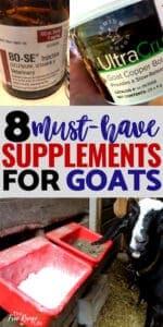 8 Must Have Nutritional Supplements For Goats (For The Healthiest Herd!)