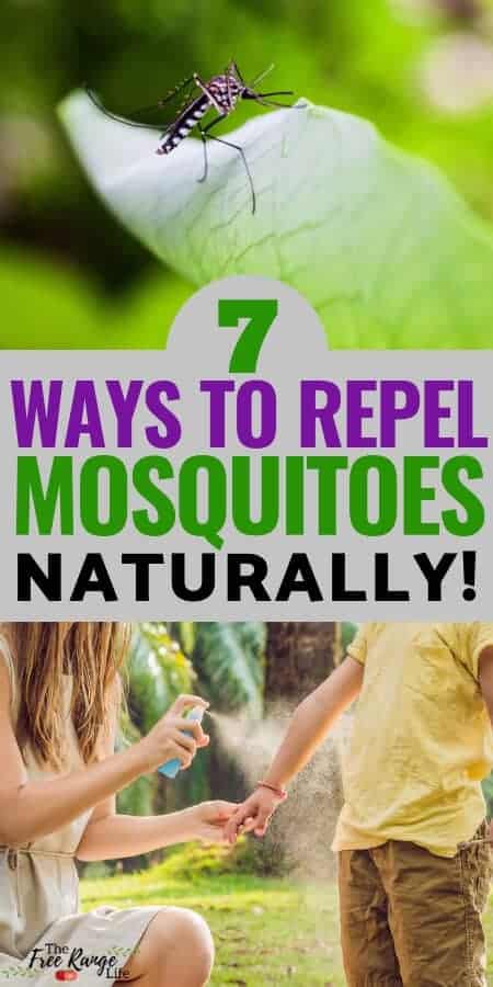 Mosquitoes making summer miserable? Use these 7 Natural Mosquito Repellent ideas to help you get rid of mosquitoes and enjoy being outside more...