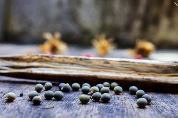 dry okra pod with seeds on a table