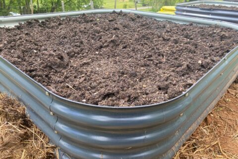 Galvanized Raised Beds: Olle Garden Bed Review