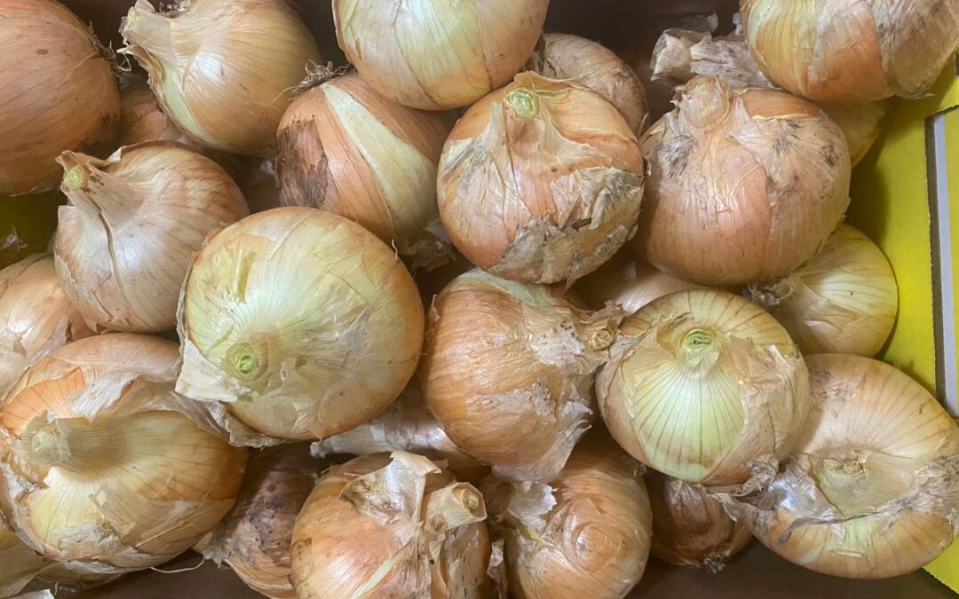 How to Preserve Onions- 5 Different Ways!