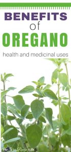 The Many Uses And Benefits Of Oregano