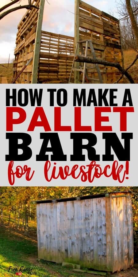 how to make a pallet barn for livestock