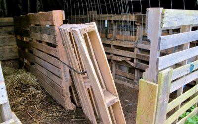 6 Easy Pallet Projects for Your Goat Yard