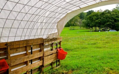 How to Make a Quick Pallet Shelter for Livestock