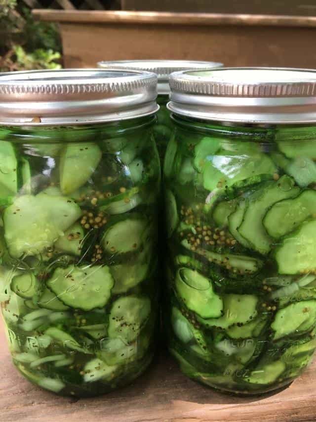 Easy Refrigerator Pickle Recipe The Free Range Life®