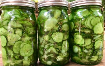 Quick and Easy Refrigerator Pickles!