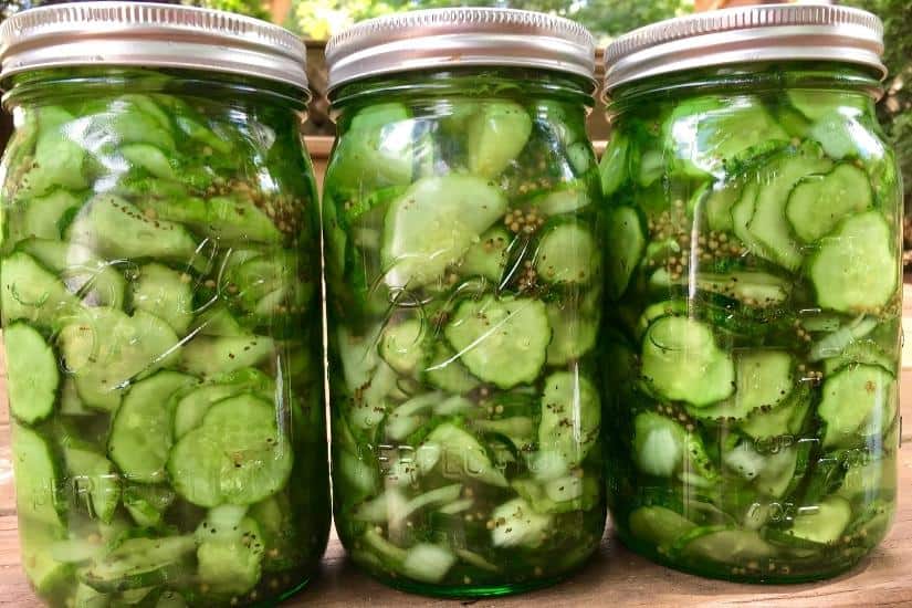 jars of refrigerator pickles