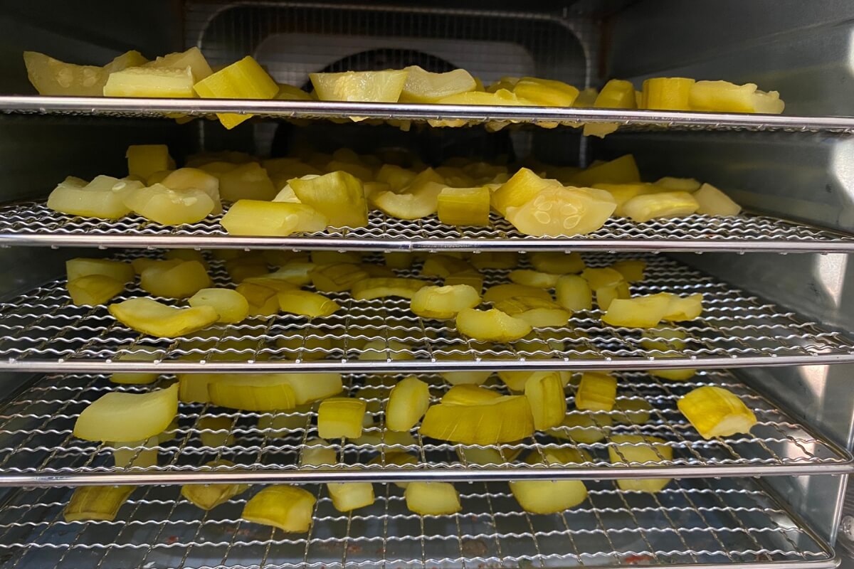 zucchini pineapple before drying in an electric dehydrator