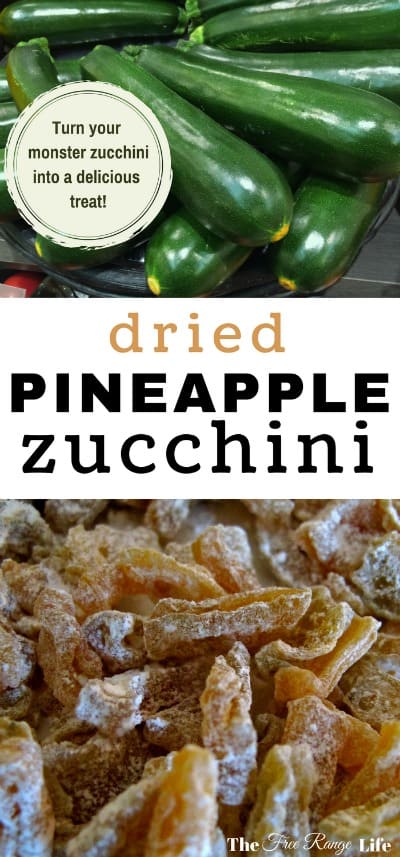 Dehydrating Zucchini- Make Pineapple Zucchini Candy!