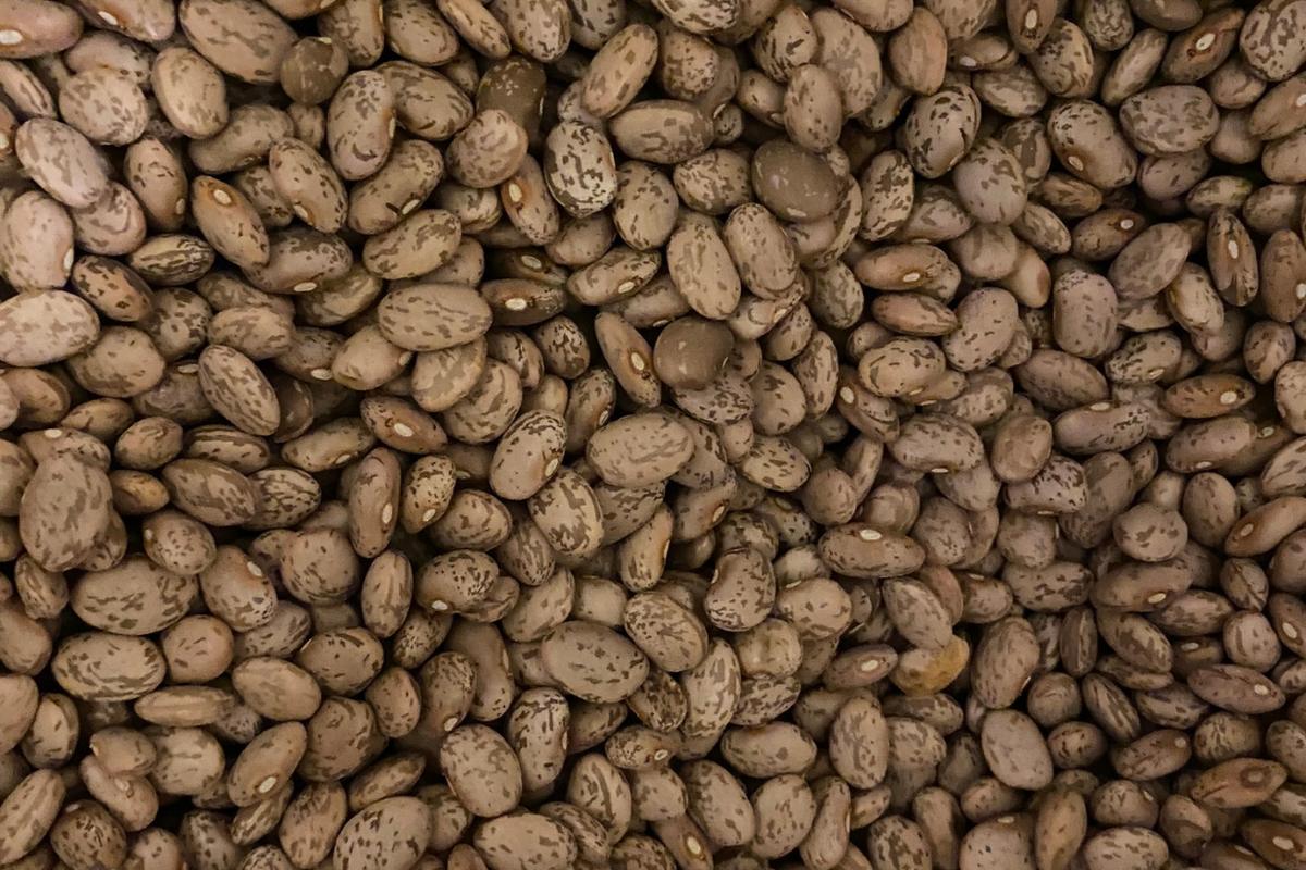 close up of pinto beans