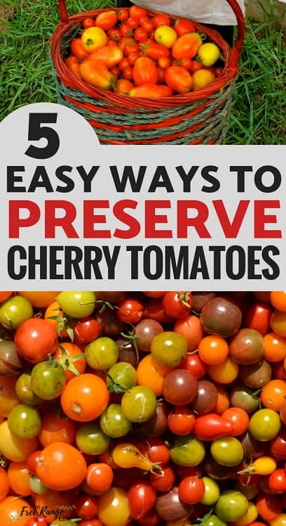 Preserving Food: Are you overrun with cherry tomatoes from your vegetable garden? Try one of these 5 easy way to preserve cherry tomatoes!