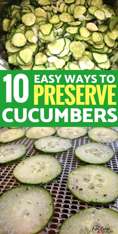 10 Delicious Ways To Preserve Cucumbers For Gardeners