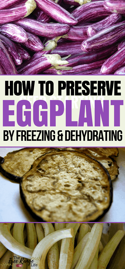 Food Preservation: Do you have a bumper crop of eggplant in the garden? Learn how to preserve eggplant by freezing and dehydrating to enjoy it all year long!