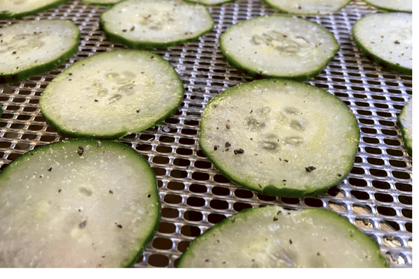 preserve cucumber by making dehydrated cucumber chips- includes 5 different flavoring options!