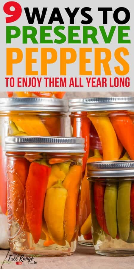 Food Preservation: Learn nine methods for preserving peppers; includes preserving hot peppers & sweet peppers