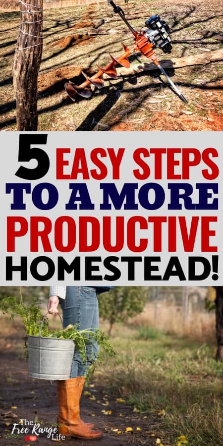 5 easy steps to a more productive homestead text with woman holding a bucket of scraps and a auget for drilling fence posts