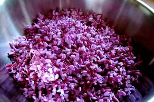 bowl of redbud flowers