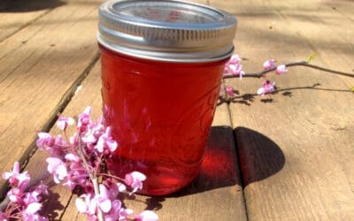 How to Make (and Can) Redbud Jelly at  Home