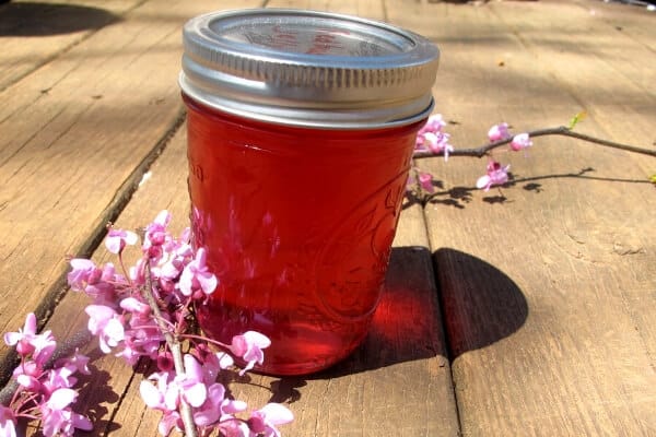 jar of redbud jelly and a limb of a redbud with flowers on it