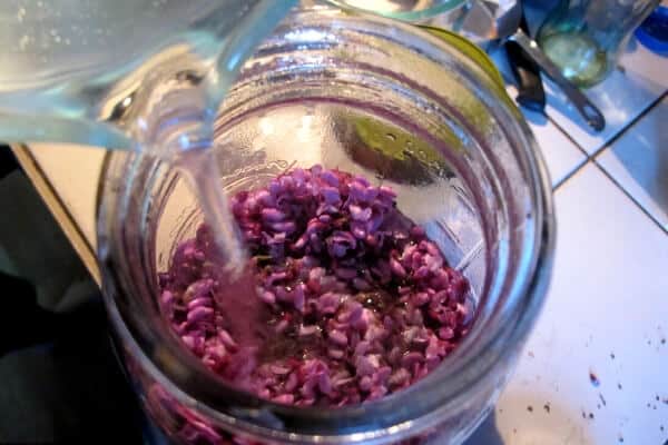 boiling water being poured over a jar of redbud flowers