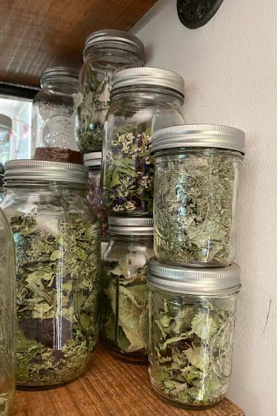 canning lids used for food storage of dried herbs in glass jars