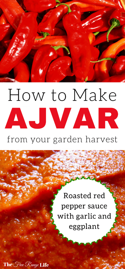 This roasted red pepper sauce is made with fresh red peppers, eggplant and garlic. Ajvar is an amazing straight from the garden treat!