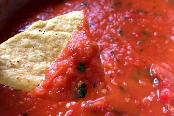 fresh roasted tomato salsa on a tortilla chip
