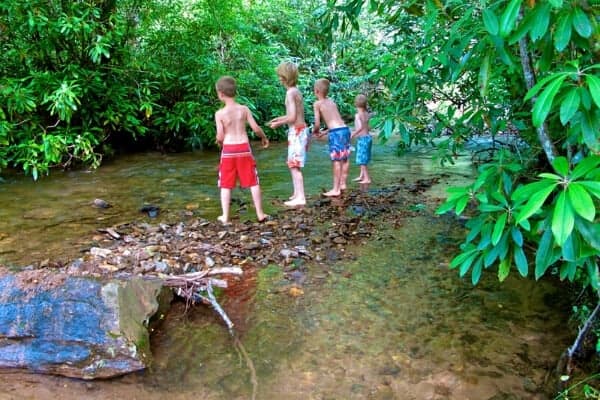 4 boys in swimsuits in a mountain creek on a camping vacation