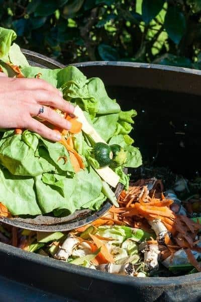 close up of used kitchen scraps going into compost pile