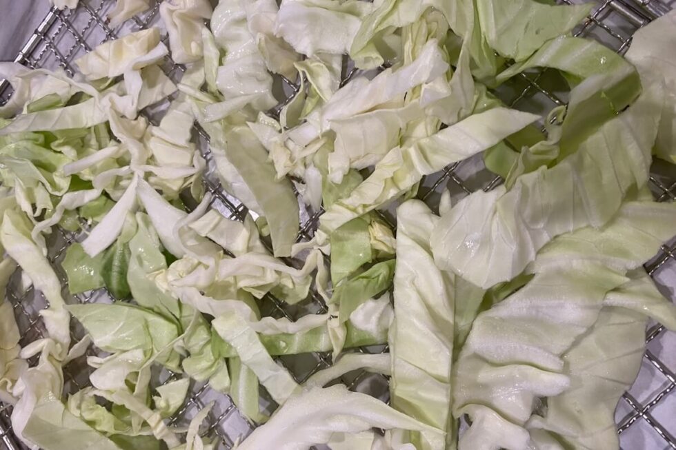 Step by Step Instructions for Dehydrating Cabbage