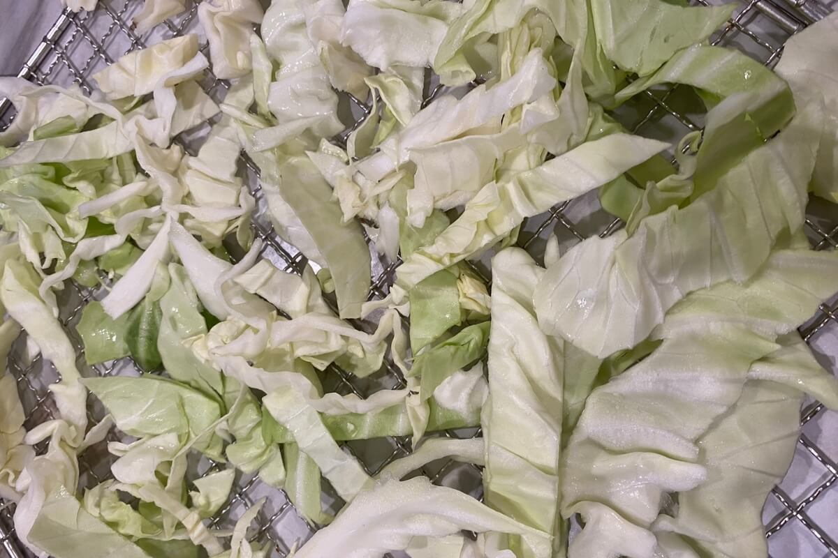 sliced cabbage on dehydrator trays