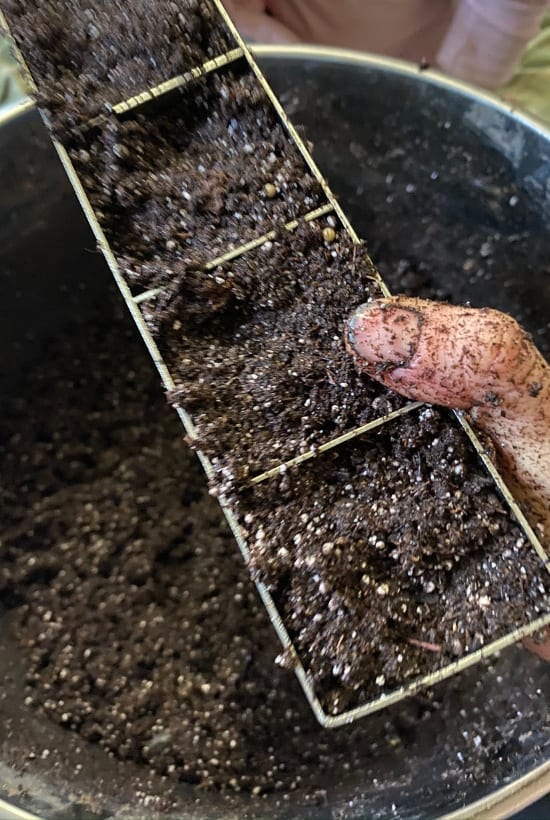 soil blocks are the most frugal seed starting container