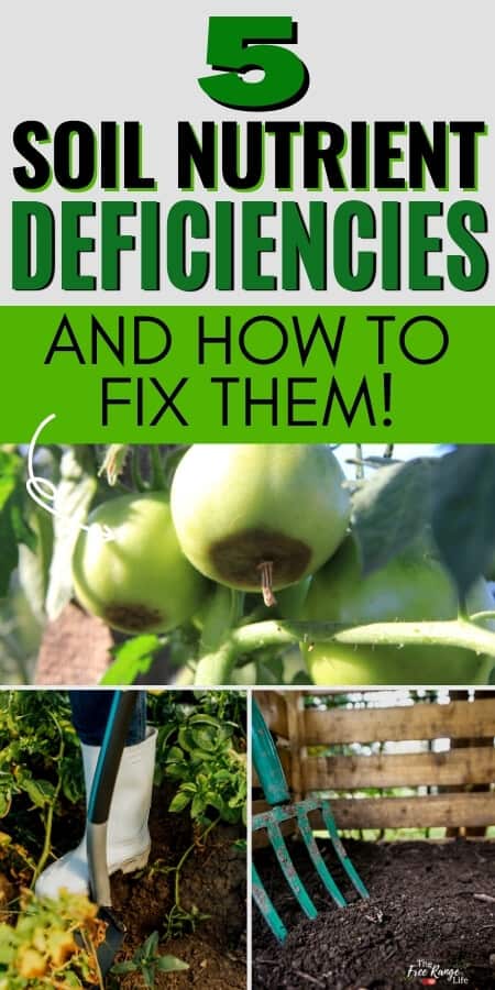 5 soil nutrient deficiencies and how to fix them