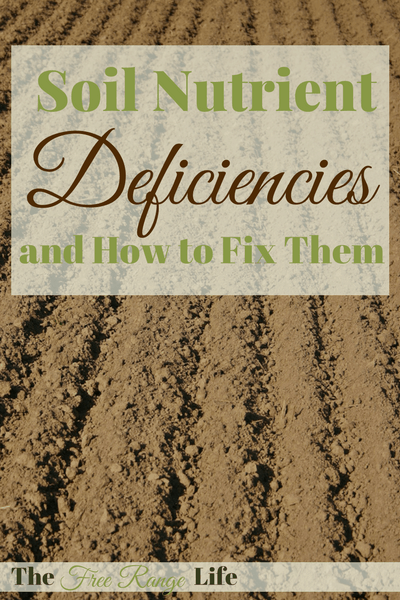 Soil Nutrient Deficiencies And How To Fix Them - The Free Range Life