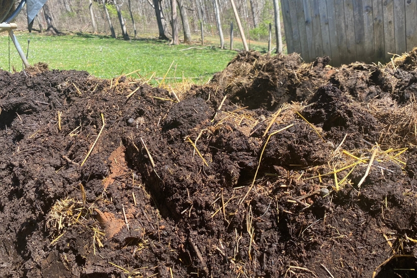 spent and composted hay