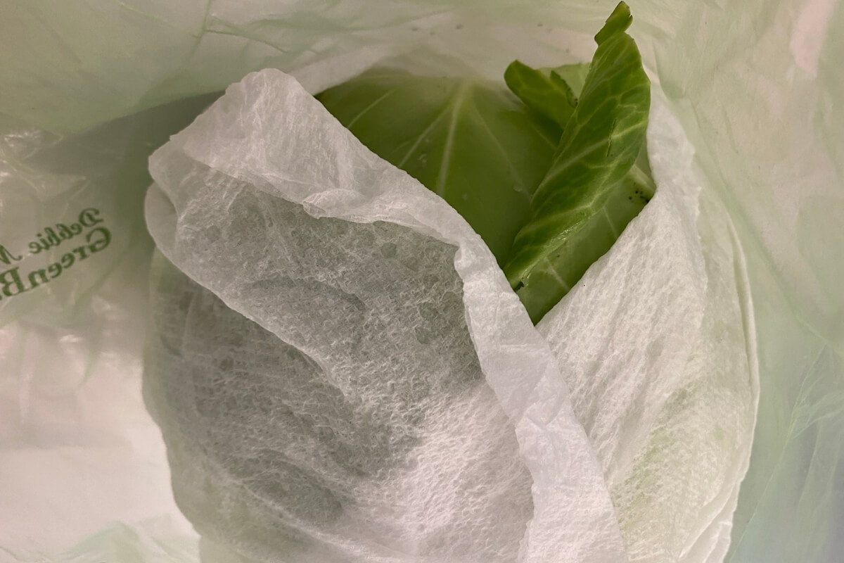 cabbage head wrapped in paper towels in plastic bag stored in fridge