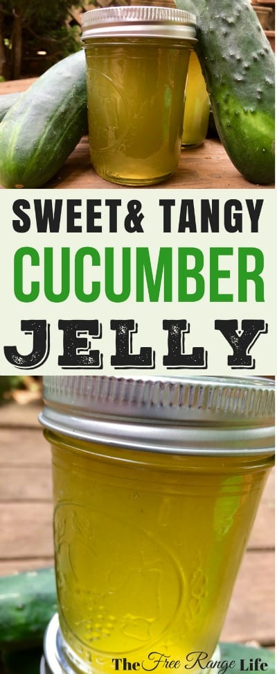 Are you looking for something other than pickles to do with your cucumbers? Try this sweet and tangy cucumber jelly for something light and refreshing!