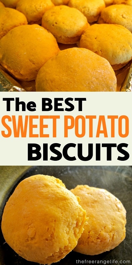 The Best Sweet Potato Biscuits Recipe