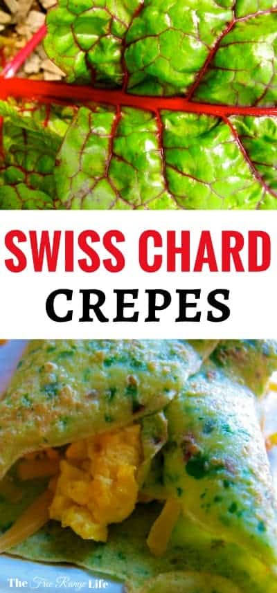 Swiss Chard is easy to grow and full of nutrition. Try out these swiss chard crepes for a farm fresh meal straight from the garden!