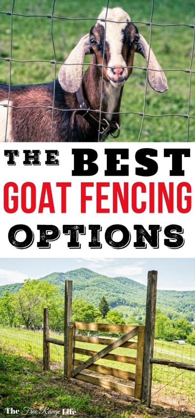 The Best Fencing for Goats - Oak Hill Homestead