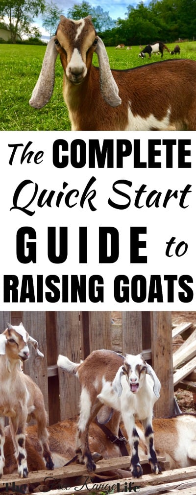 The Complete Quick Start Guide to Raising Goats