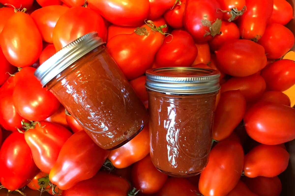 tomato ketchup canned
