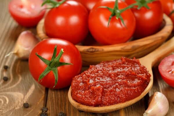 tomato paste on a spoon with fresh tomatoes