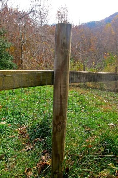 treated posts fencing options 
