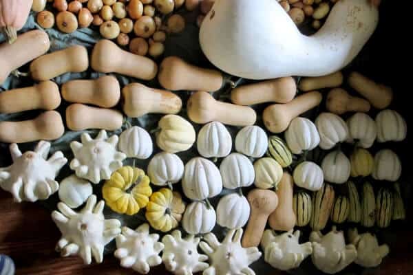 pile of various winter squash