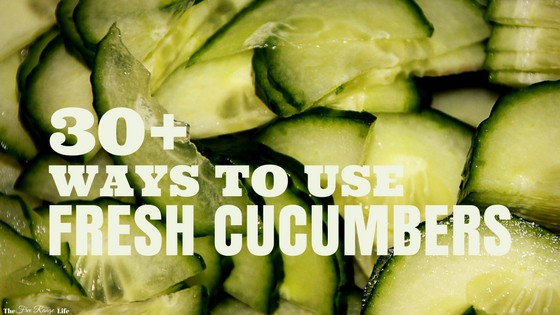 What to Do with Fresh Cucumbers (Recipes + How to Store Cucumbers)