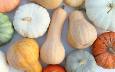 10 Fabulous Types of Winter Squash to Grow (and Eat!)