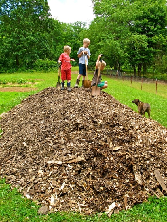 3 boys standing on pile of wood chips for garden i